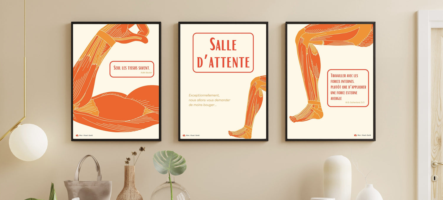 Affiches pour ostéo et kiné