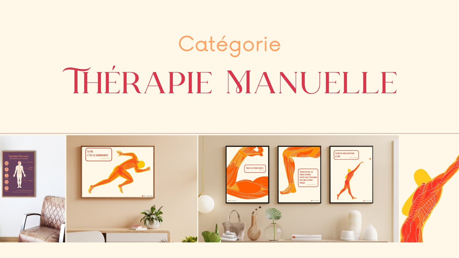 Catégorie | Thérapie Manuelle