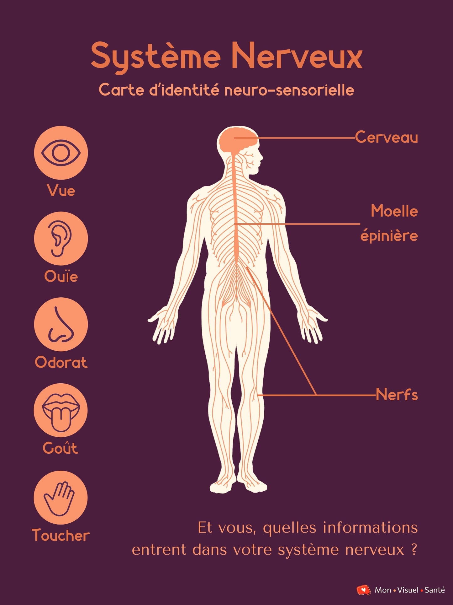 Affiche Carte d'identité neuro-sensorielle