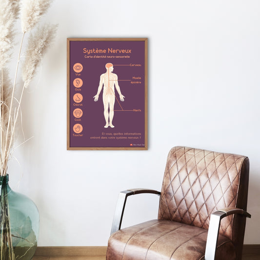 Affiche Carte d'identité neuro-sensorielle