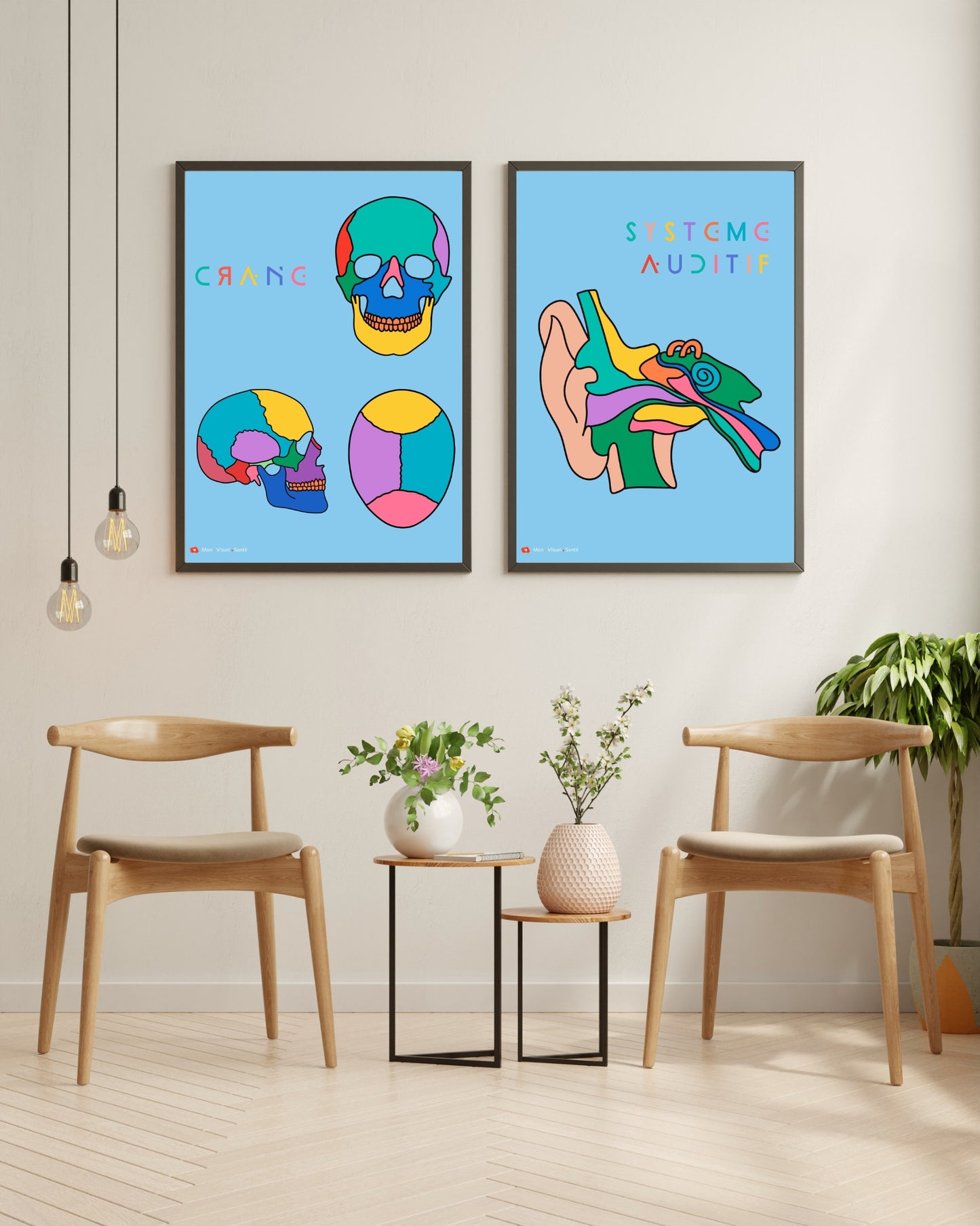 Affiche Couleurs Anatomiques - Système Auditif
