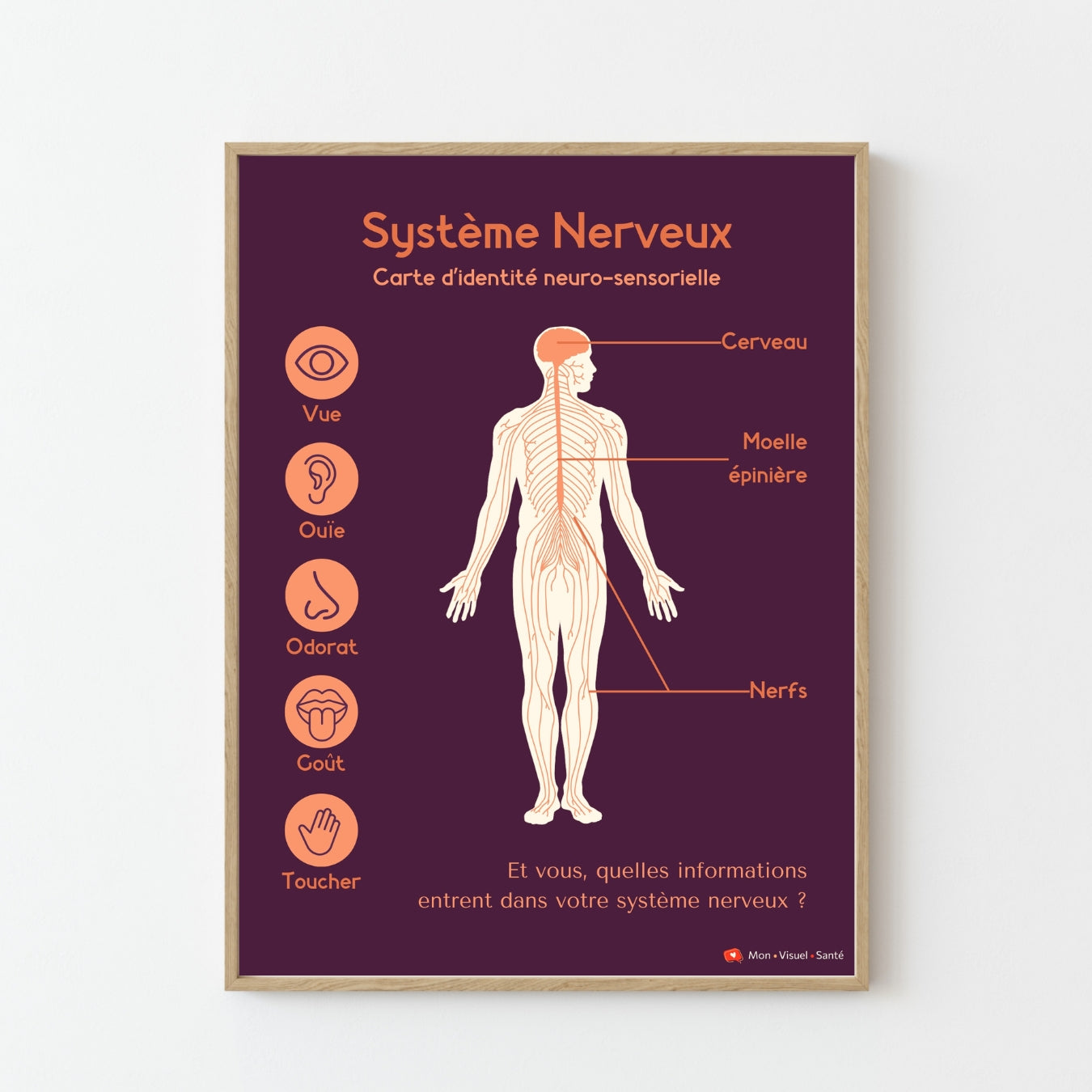 Affiche Carte d'identité neuro-sensorielle