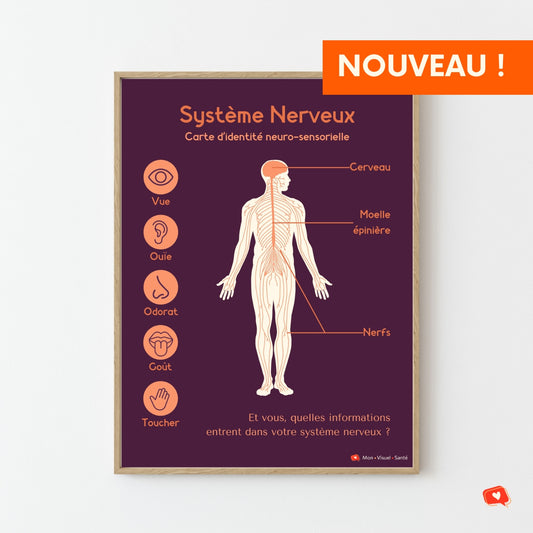 Affiche Carte d'identité neuro-sensorielle
