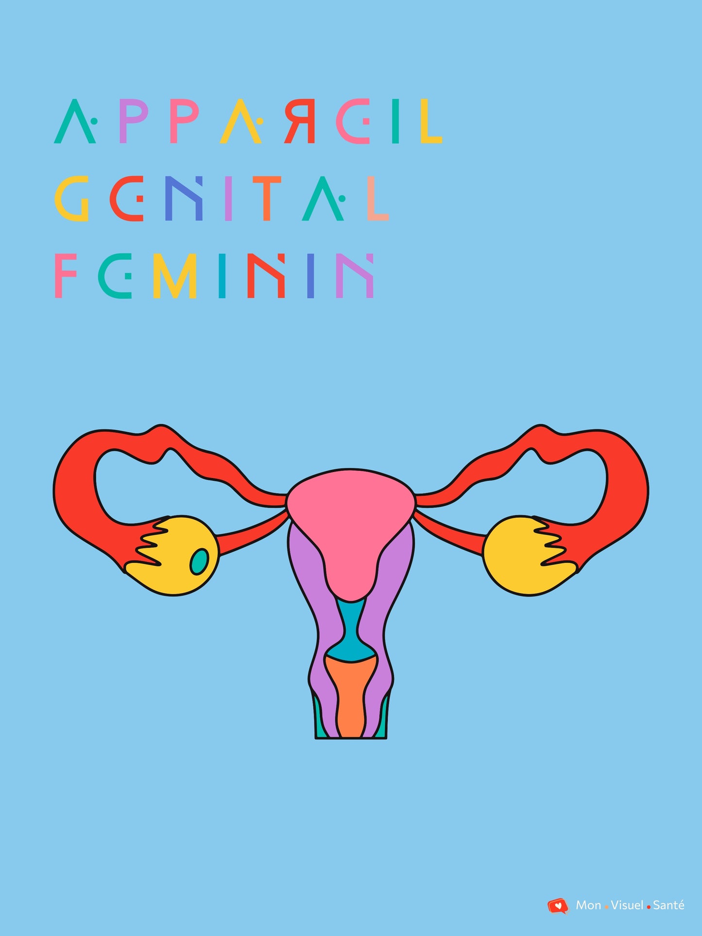 Affiche Couleurs Anatomiques - Appareil Génital Féminin