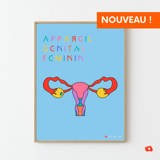Affiche Couleurs Anatomiques - Appareil Génital Féminin