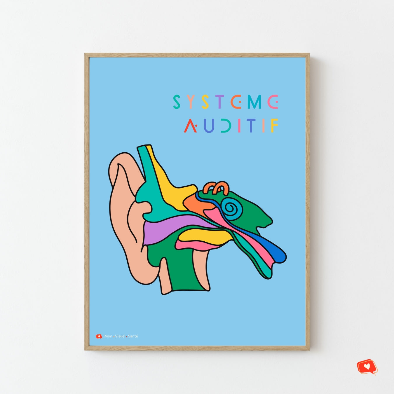 Affiche Couleurs Anatomiques - Système Auditif