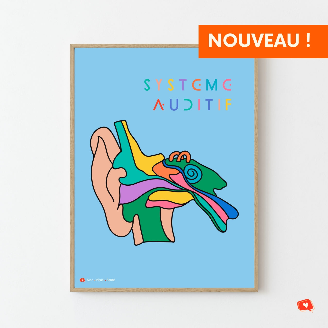 Affiche Couleurs Anatomiques - Système Auditif